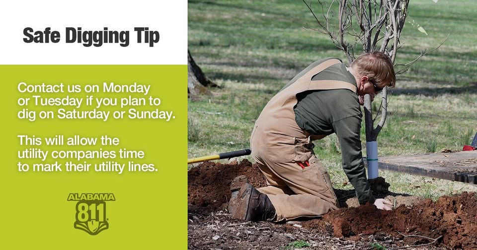 Alabama 811 tweet media