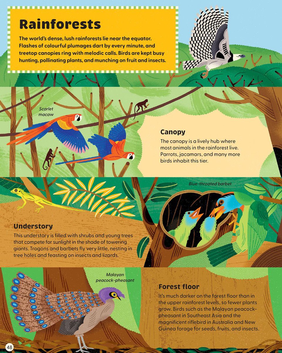 Flying Eye B👀ks tweet media