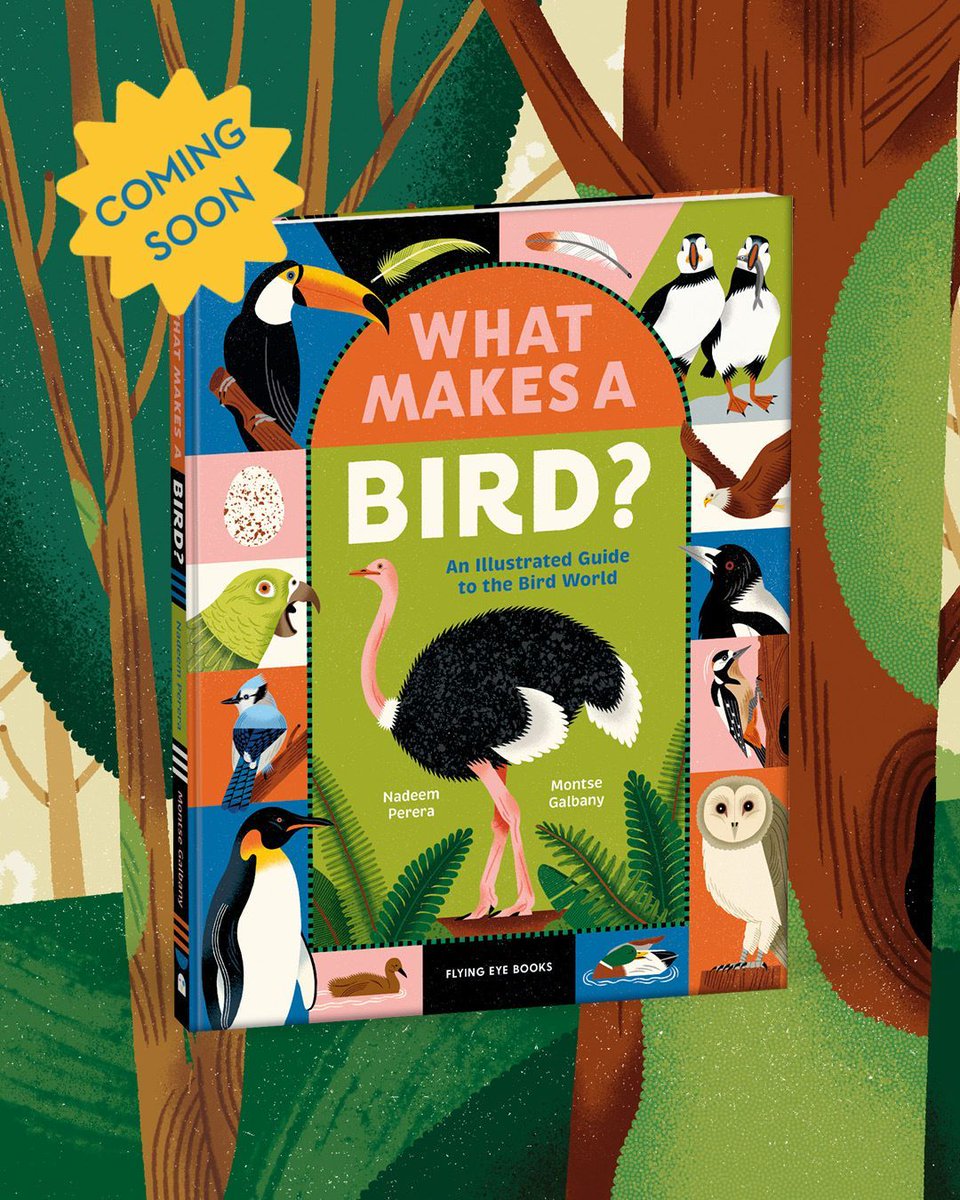 Flying Eye B👀ks tweet media