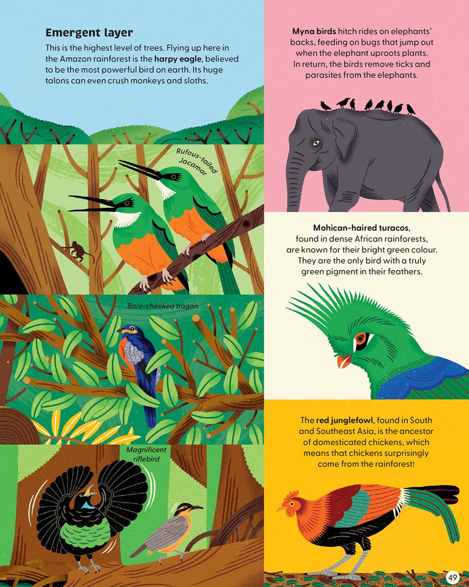 Flying Eye B👀ks tweet media