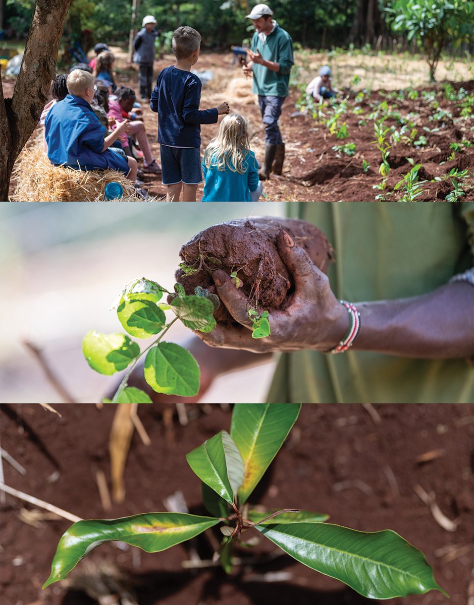 Derrick Milimo tweet media