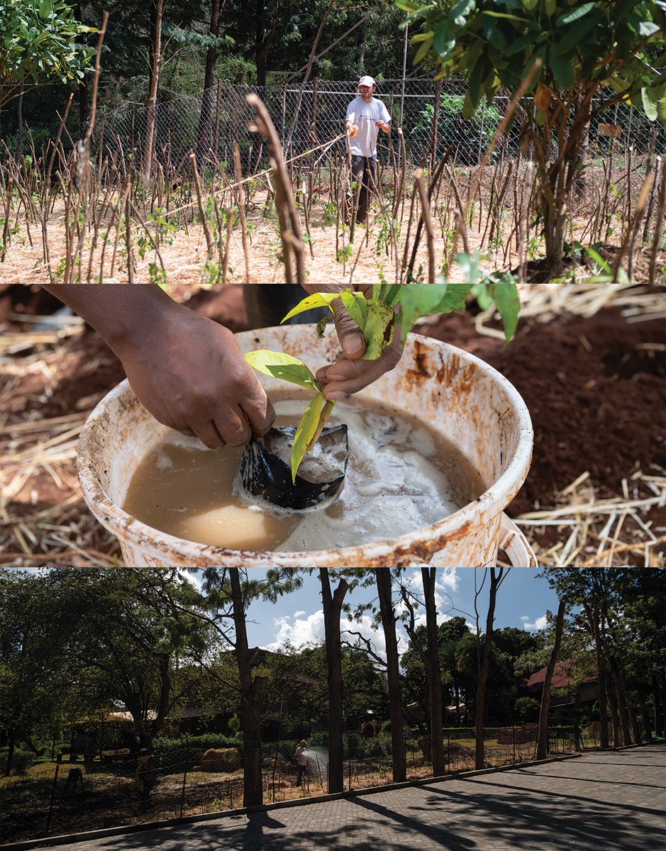 Derrick Milimo tweet media