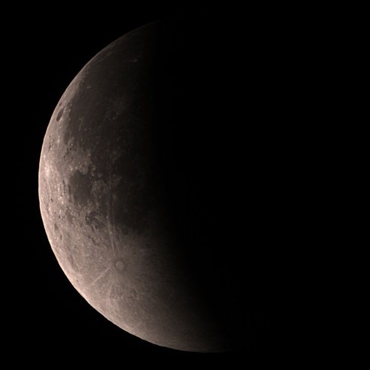 Greg Solon tweet media