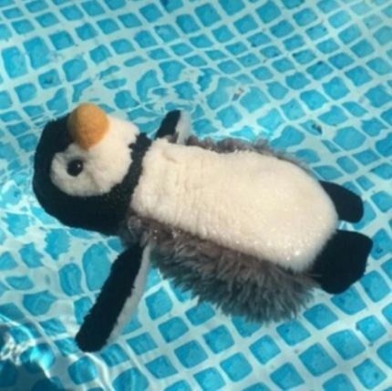 Magma ⭐ Commissions open! tweet media