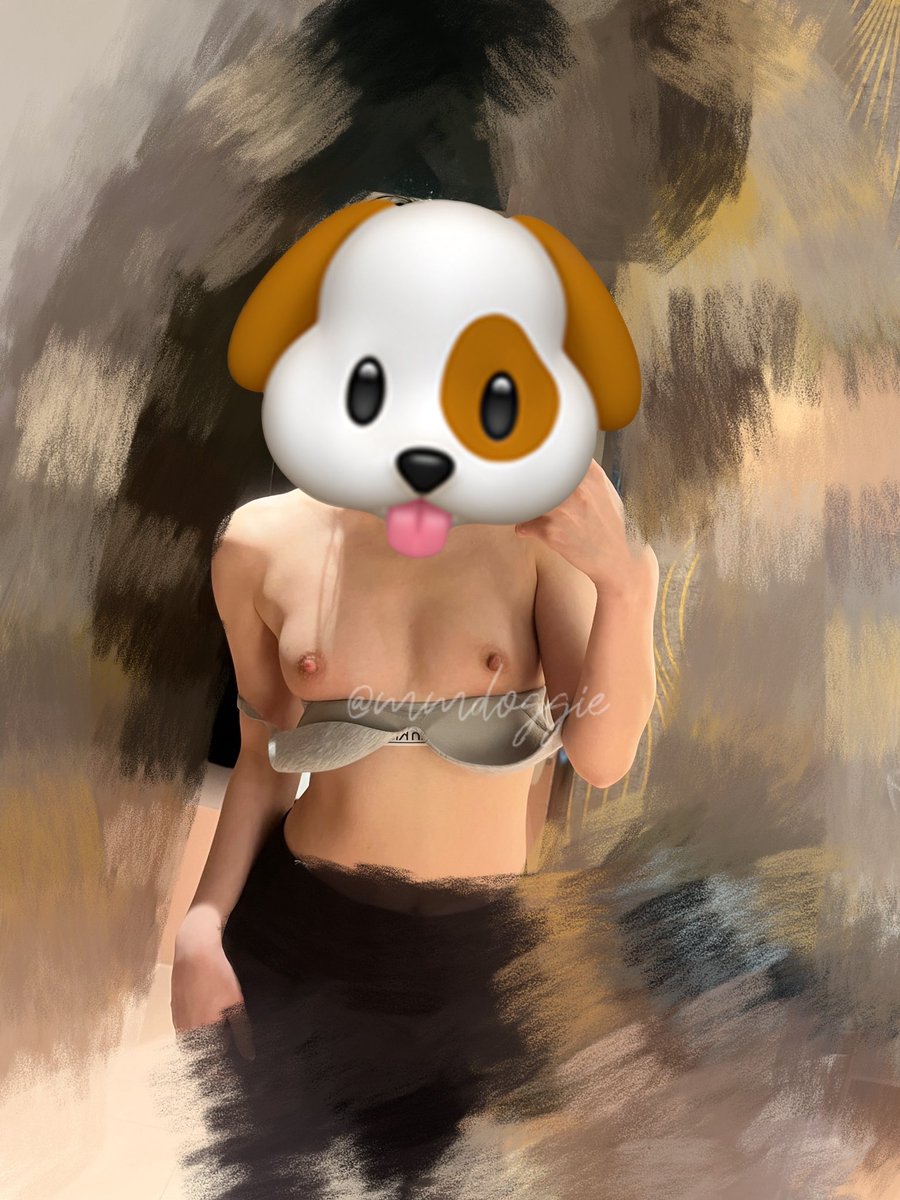 小M🐾 tweet media