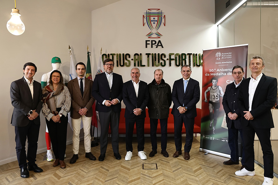 IPDJ I.P. tweet media