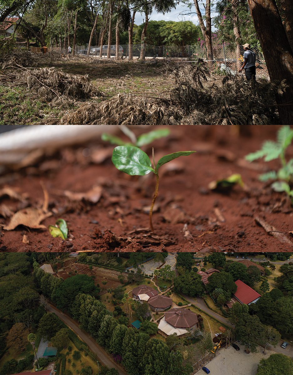 Derrick Milimo tweet media