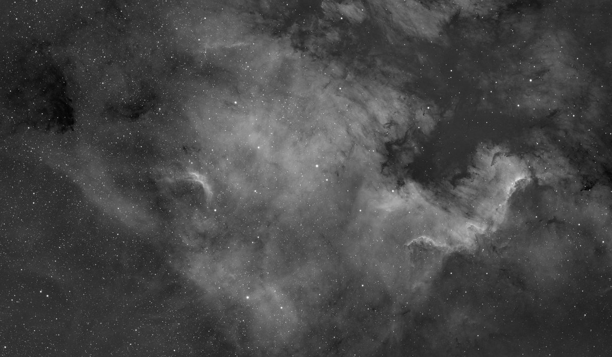 🇺🇸 Mazzif Astro 🇺🇸 tweet media