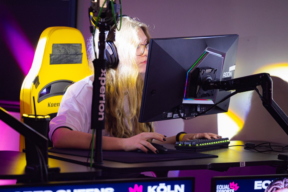 FOKUS Nico 🕷️ tweet media