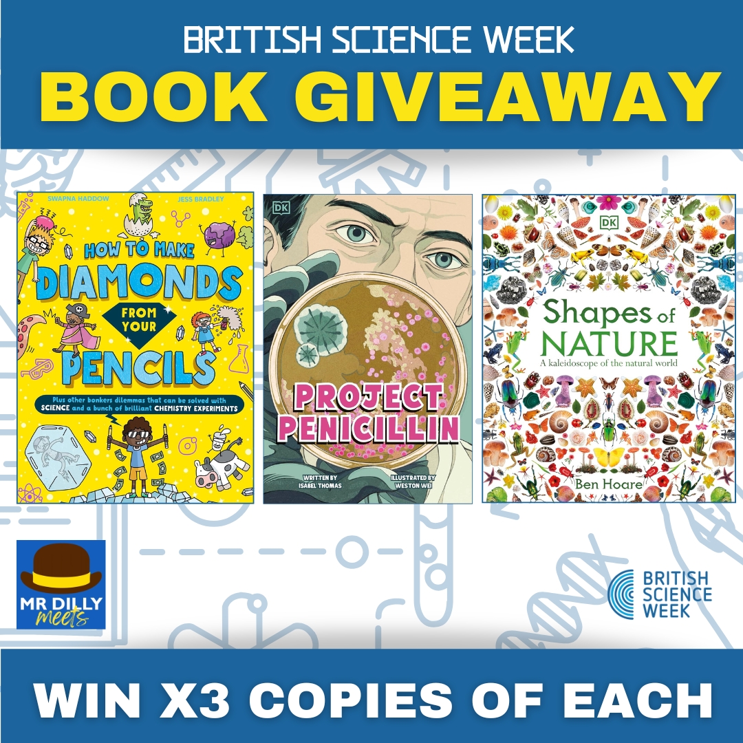 Mr Dilly | Updates Only tweet media