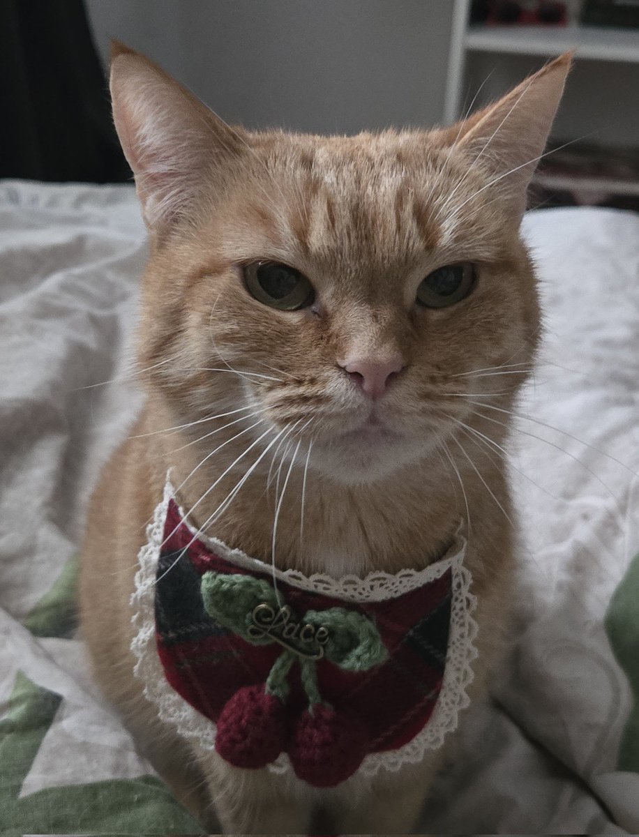 siilentium alive and breathing tweet media