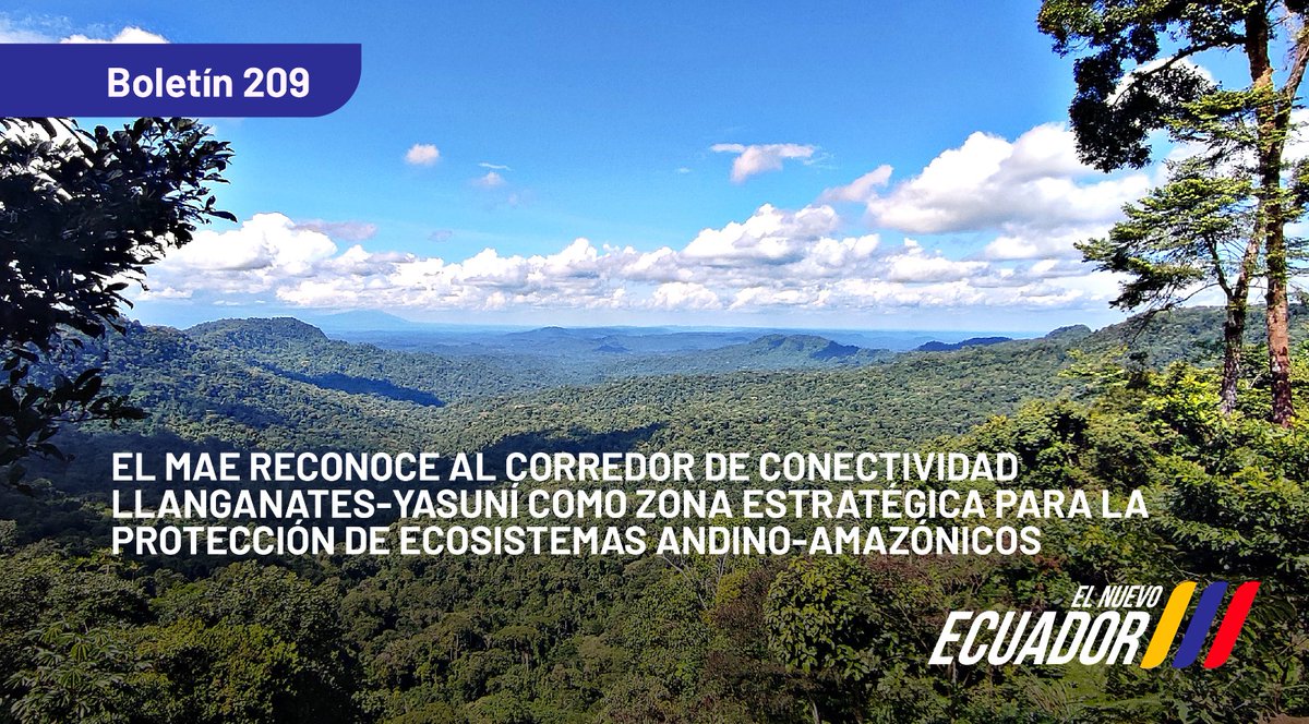 Ministerio de Ambiente y Energía tweet media