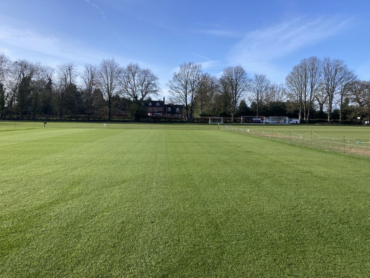 Martin Taylor tweet media