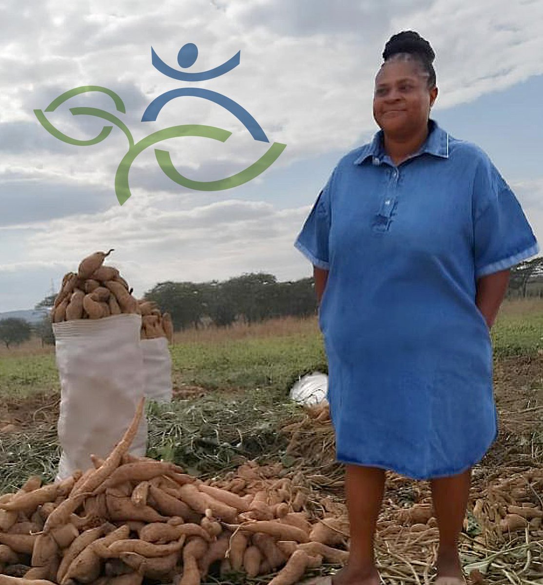 HarvestPlus tweet media