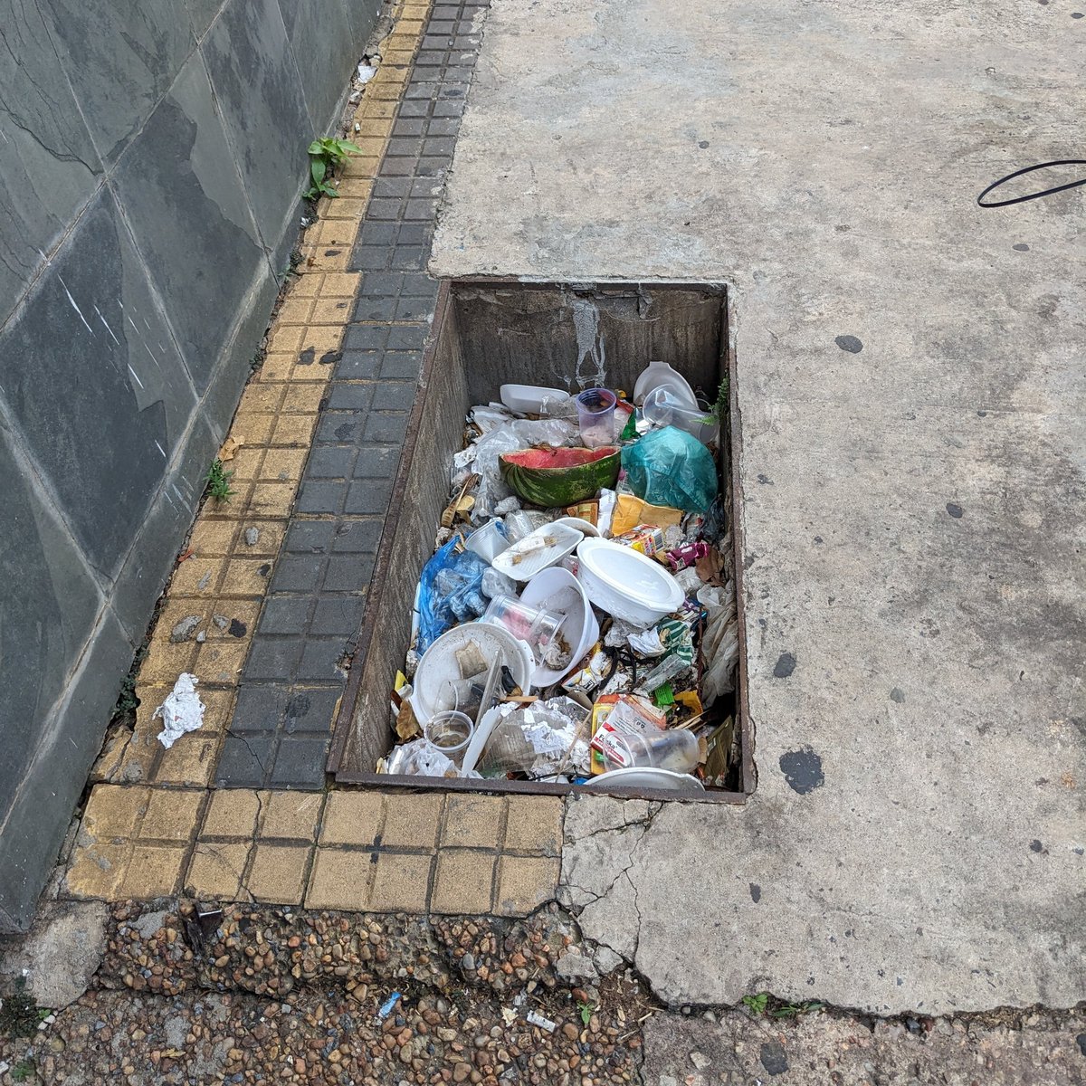 La actividad física más fácil del mundo para una persona con escaso tiempo es caminar. Se puede caminar al trabajo, al súper, a la universidad, a la escuela. Pero en Asunción así son las veredas más lindas: