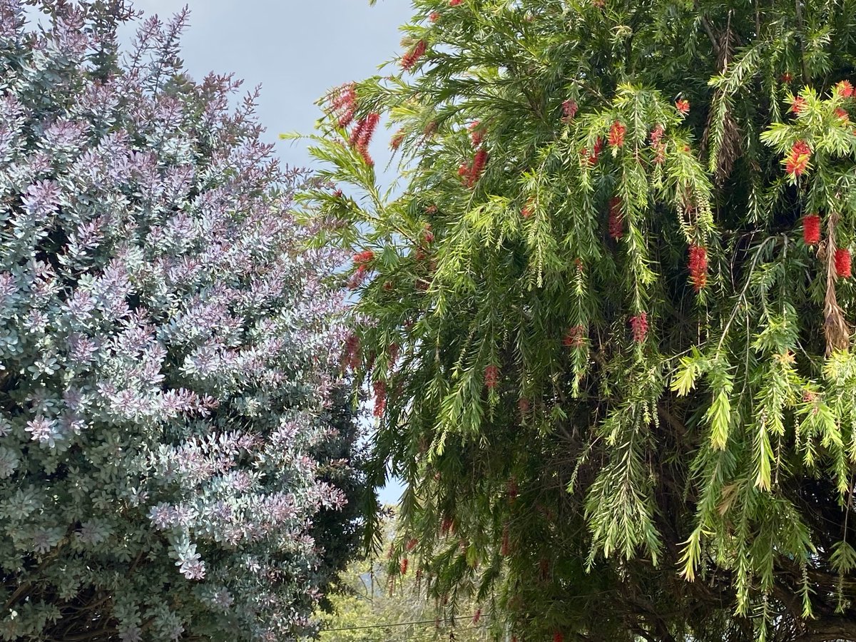 Andrés Monroy Gómez tweet media