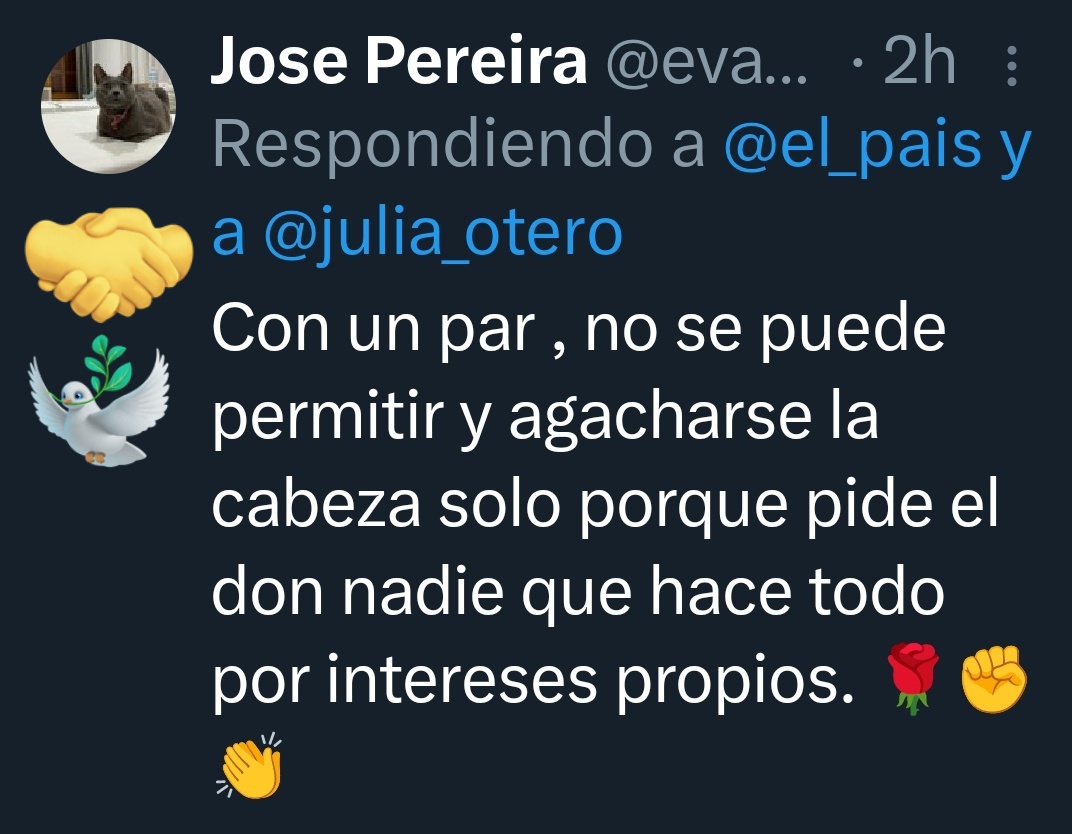 mococo45magnum's tweet photo. @ApacheCrewChief "Con un" par" de cojones decir que NO"
Los que la iniciaron están a punto de ser enjuciados por "Crimenes de Guerra"

>Si #Mulino / #Hacha oh el que sea, se le ocurre esta BRUTALIDAD, será reo de la Justicia también< https://t.co/HwOcH0mtbU