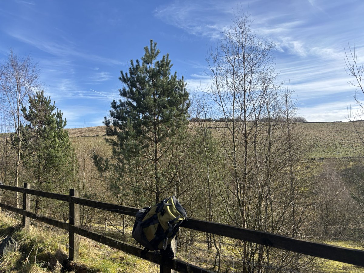 Strider_15's tweet photo. It was nice to get out in the sunshine at Lightwood this morning ☀️🕶️ https://t.co/nPbYVNepl0