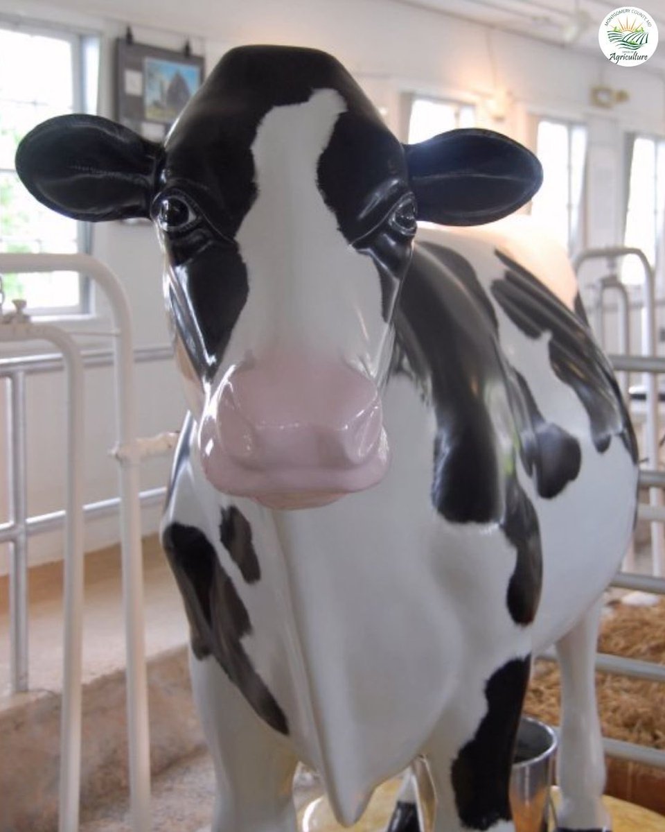 MoCoOAG's tweet image. The MOOseum is closed for the winter, but we’re already looking ahead. 🐄
Save the date. The MOOseum reopens Saturdays starting May 2, 2026. See you soon!
#AgEducation #MoCoAg #DairyFarming
