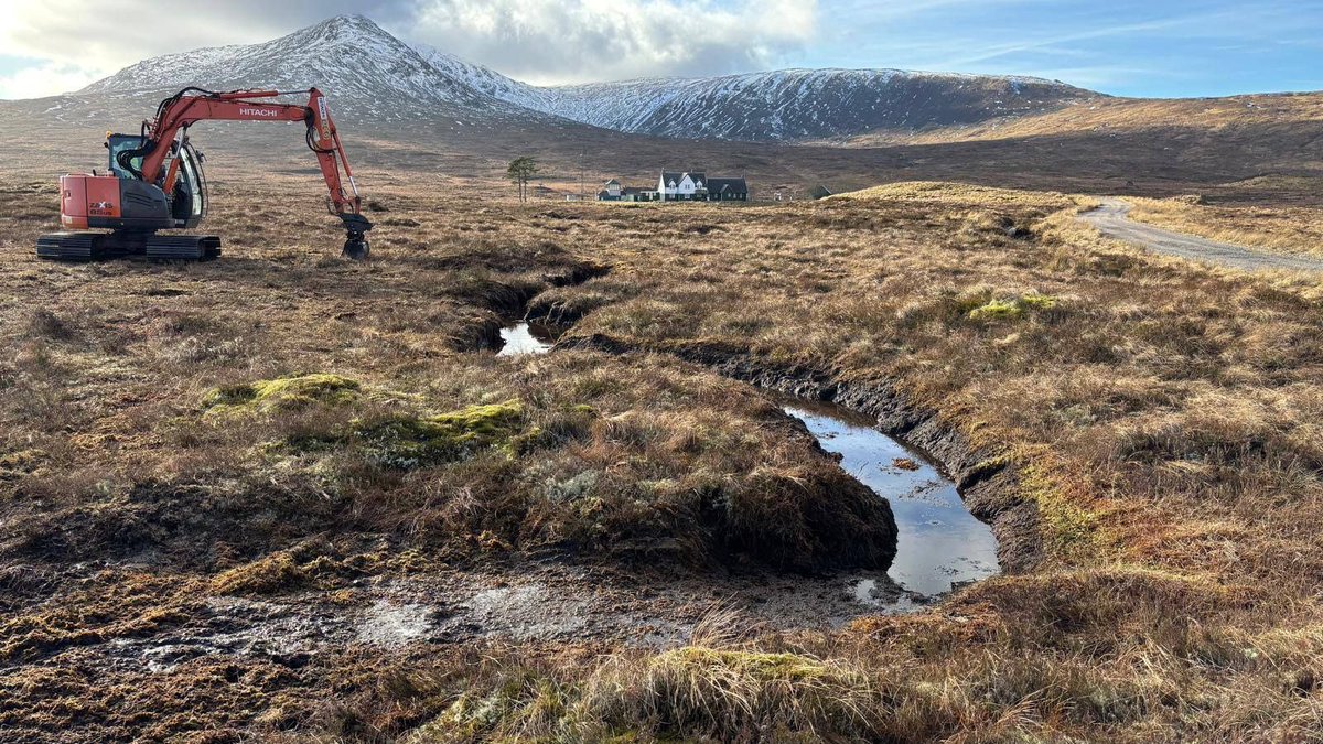 British Dragonfly Society tweet media