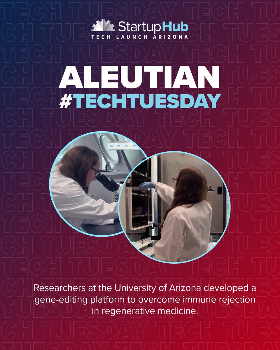 Tech Launch Arizona tweet media