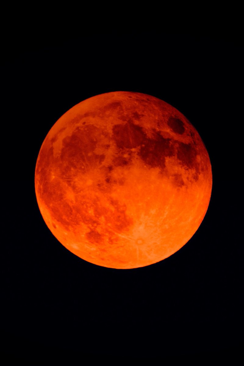 PeekitAI's tweet photo. Full Blood Moon today 

#fullmoon #BloodMoon2026 https://t.co/EbMzlK3qJz