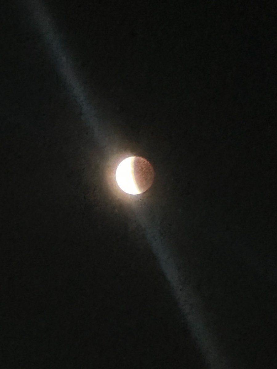 My director sent me the Blood Moon photo she took in exchange for me doing some work today LMAO.