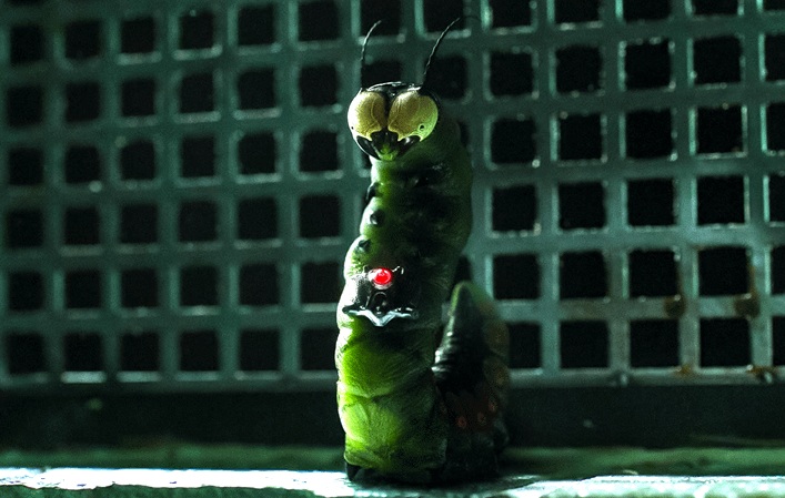 Mister Mind, en una de las escenas post-créditos de la película ¡Shazam! La furia de los dioses (2023). El gusano alienígena aparece también en la primera cinta, y es uno de los archienemigos clásicos del superhéroe en los cómics de DC.