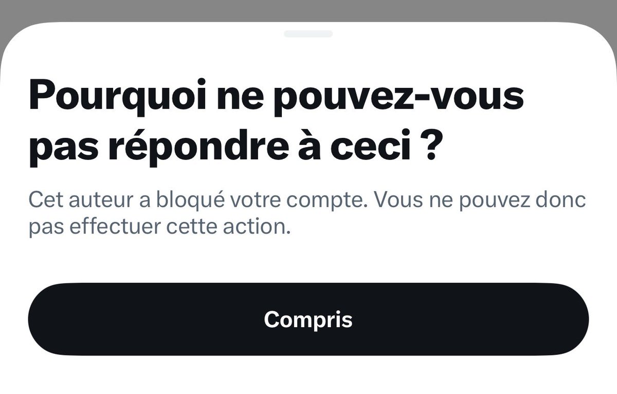 PierreMerguilly's tweet photo. @knafo_sarah @AureliAssouline Tiens tiens, bien étrange conception du débat et de la démocratie de votre tête de liste dans le 17e. 🙂 https://t.co/Lb8Z4iQVR1
