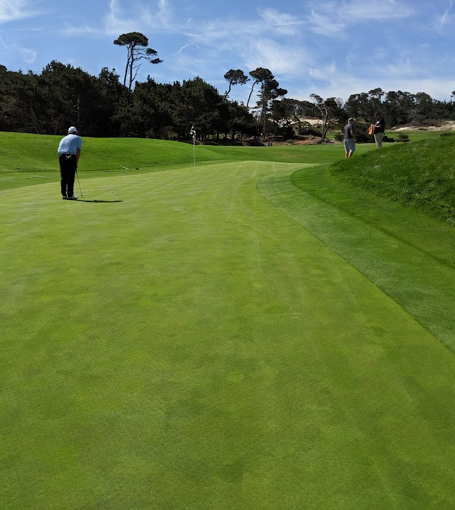 Fairways & Freeways tweet media