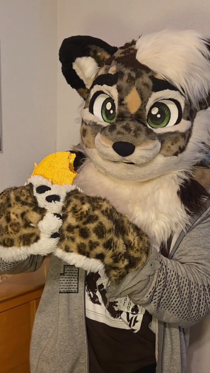 Cardboard Cat tweet media