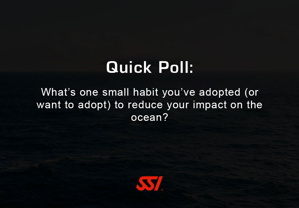 diveSSI's tweet photo. We're interested to hear. Tell us in the comments!
#ssiblueoceans #blueoceansprogram https://t.co/iggkyQBp3E