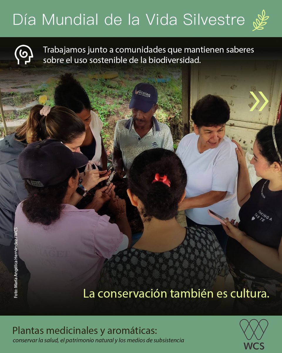 WCS Colombia 💚 tweet media