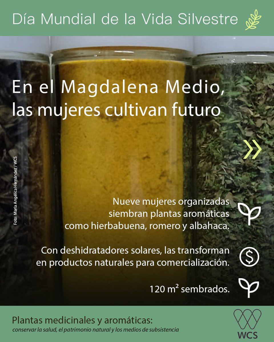 WCS Colombia 💚 tweet media