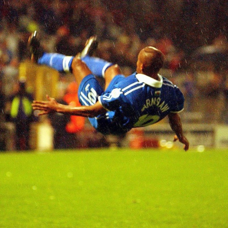 Bluebirds Past tweet media