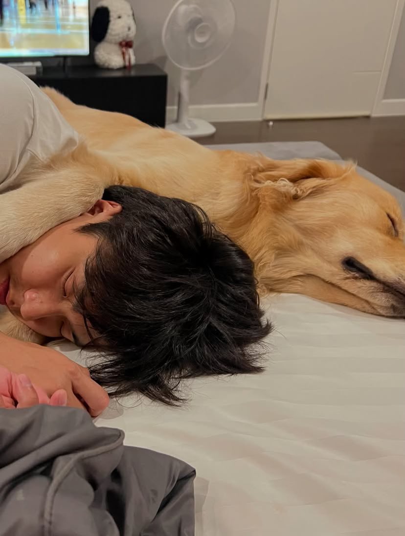 ก็ว่าคุ้นๆ 🐶🐶💤

#ohmpawat #gold__denn