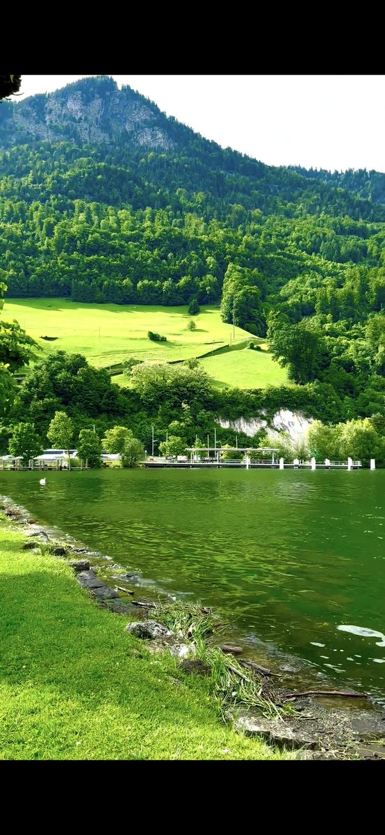 How is your day going? I sense majority of you are having a great day  🤔.