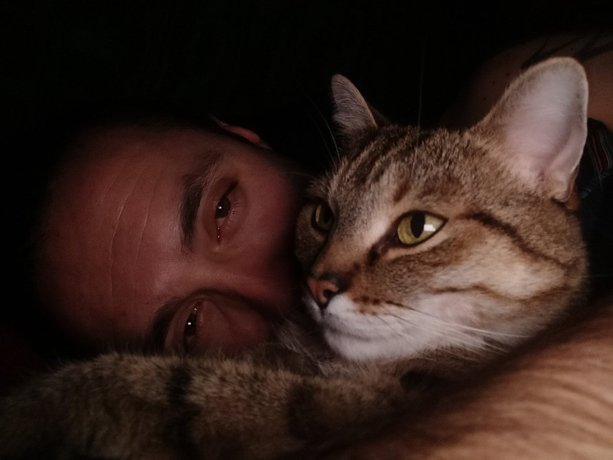 DELA | butterbullets tweet media