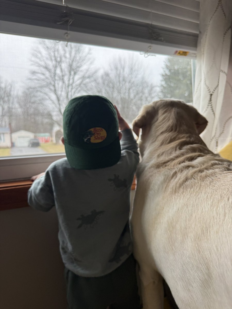 sysengineer tweet media