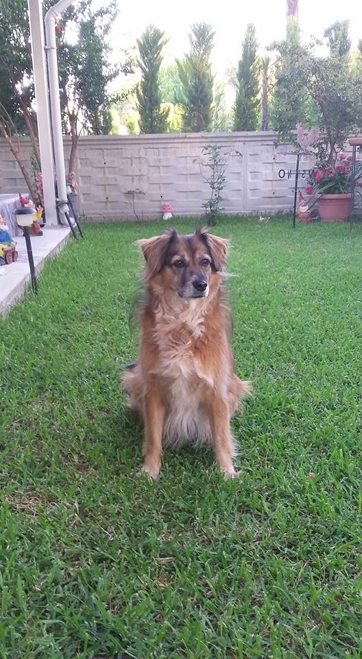 6 sene oldu cancağızım. Seni çok özlüyorum    Keşke zaman dursaydi da, sen bu dünyadan gitmeseydin. Beni sensiz bırakmasaydın