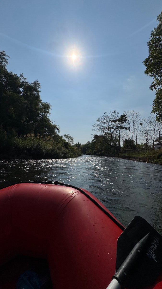 สังเคราะห์แสงไป1แมท #waavetnp