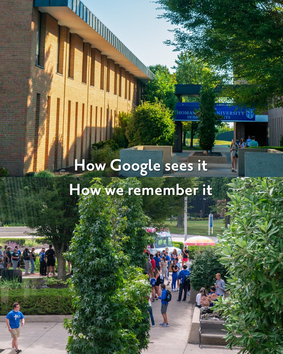 Thomas More University tweet media