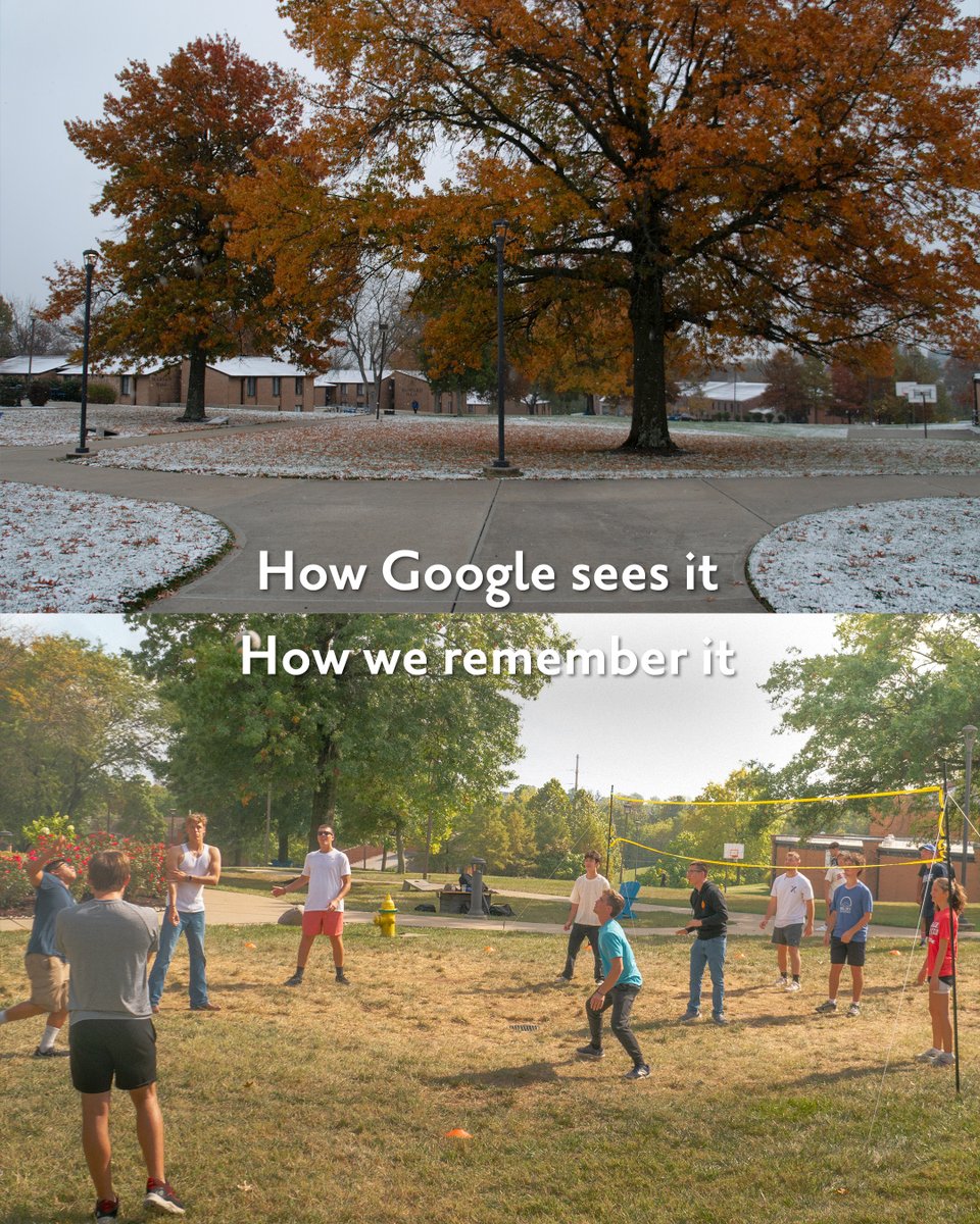 Thomas More University tweet media