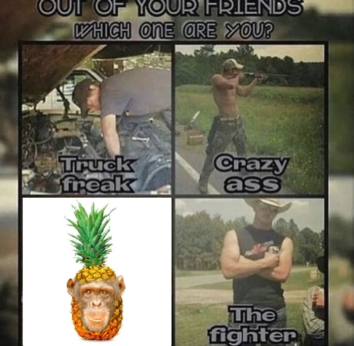 pineapple chimp tweet media