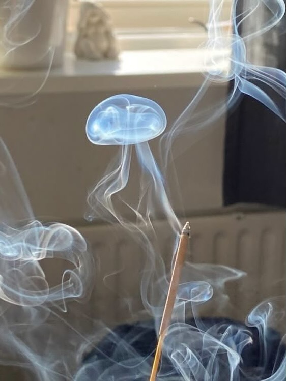 it kinda looks like jellyfish