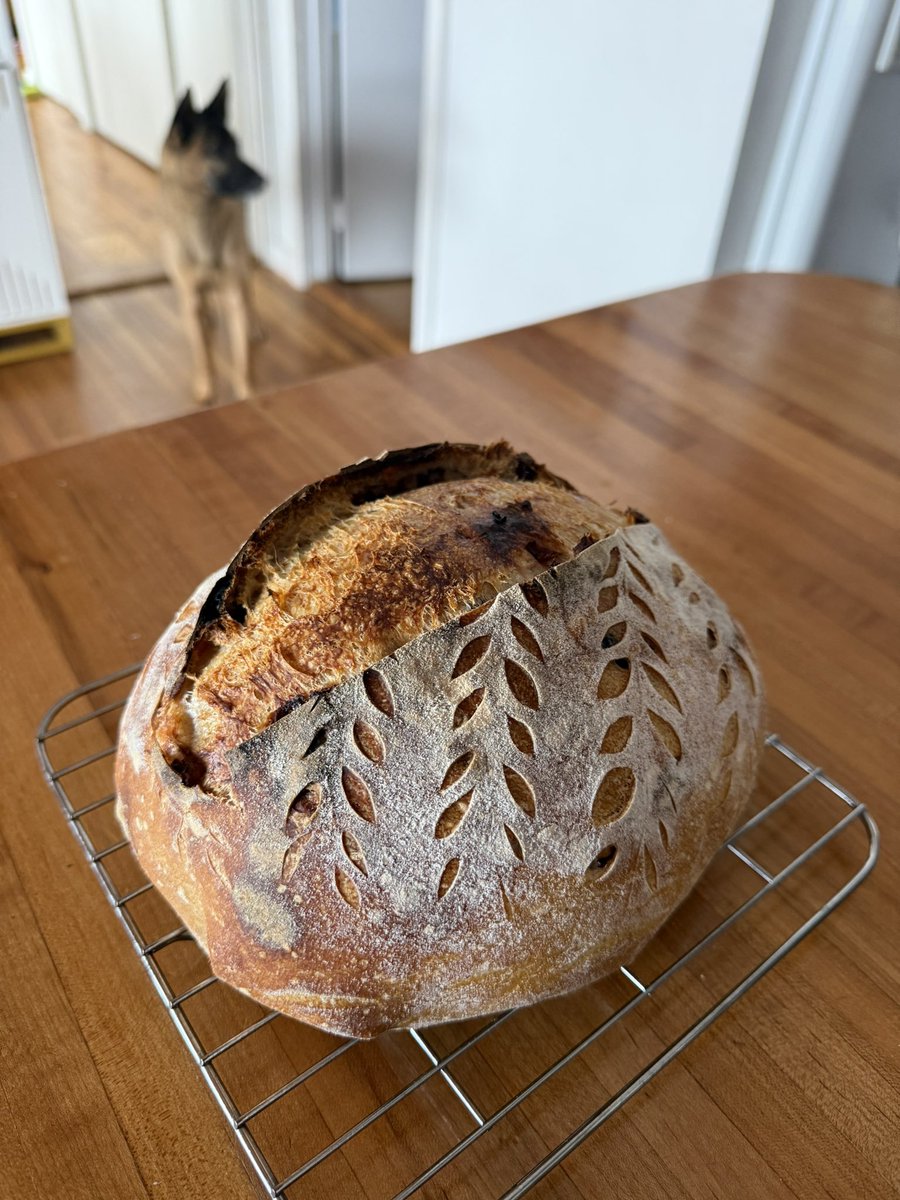 Kieks ✨ tweet media