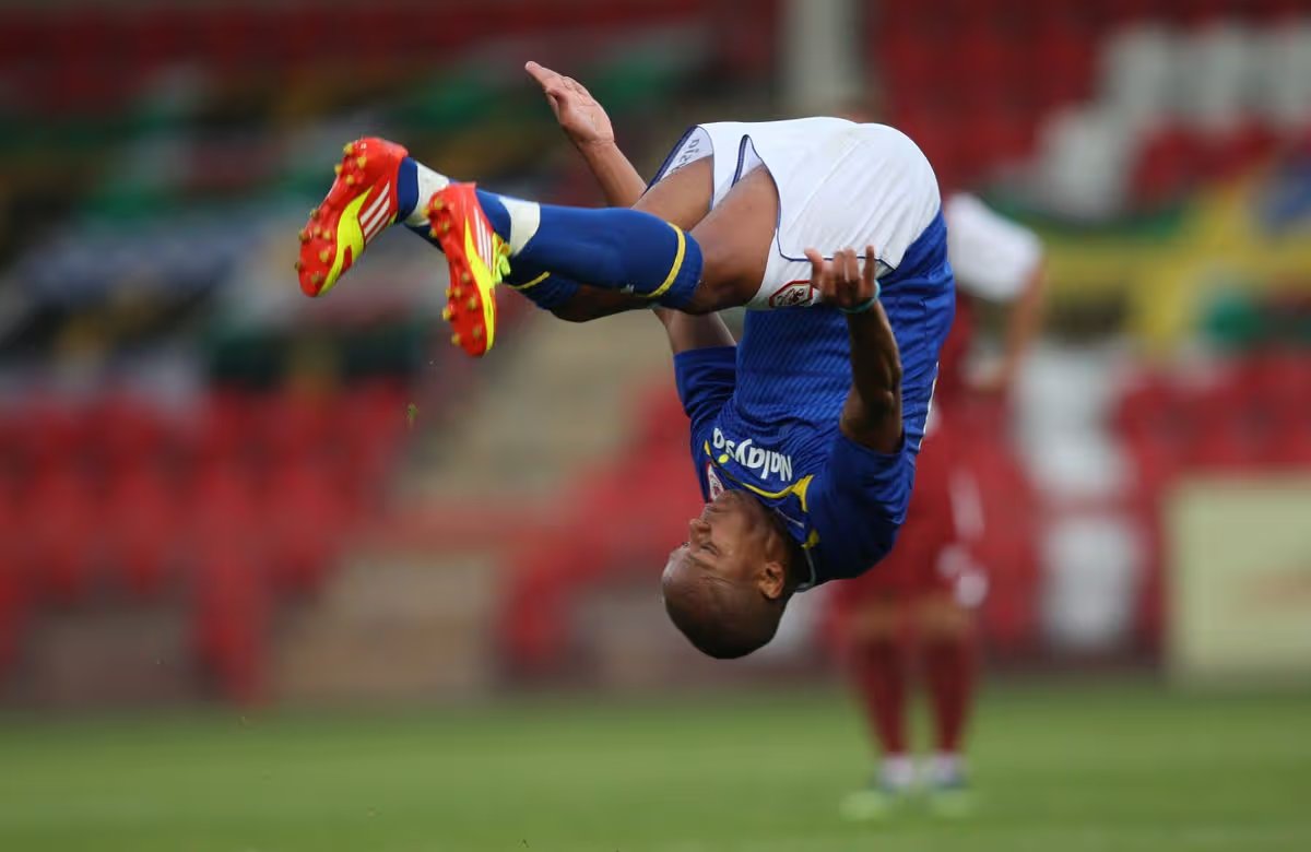 Bluebirds Past tweet media