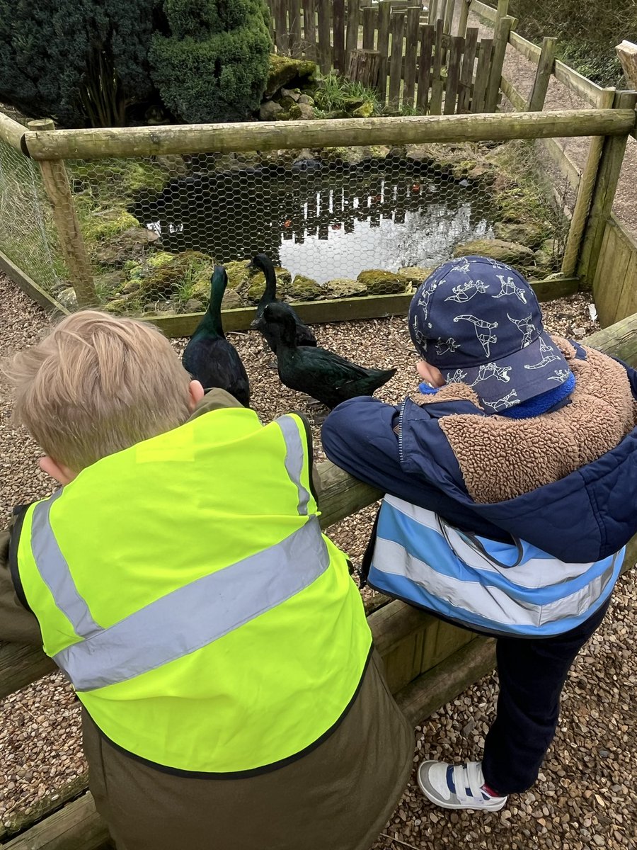 Bridgewater Primary tweet media