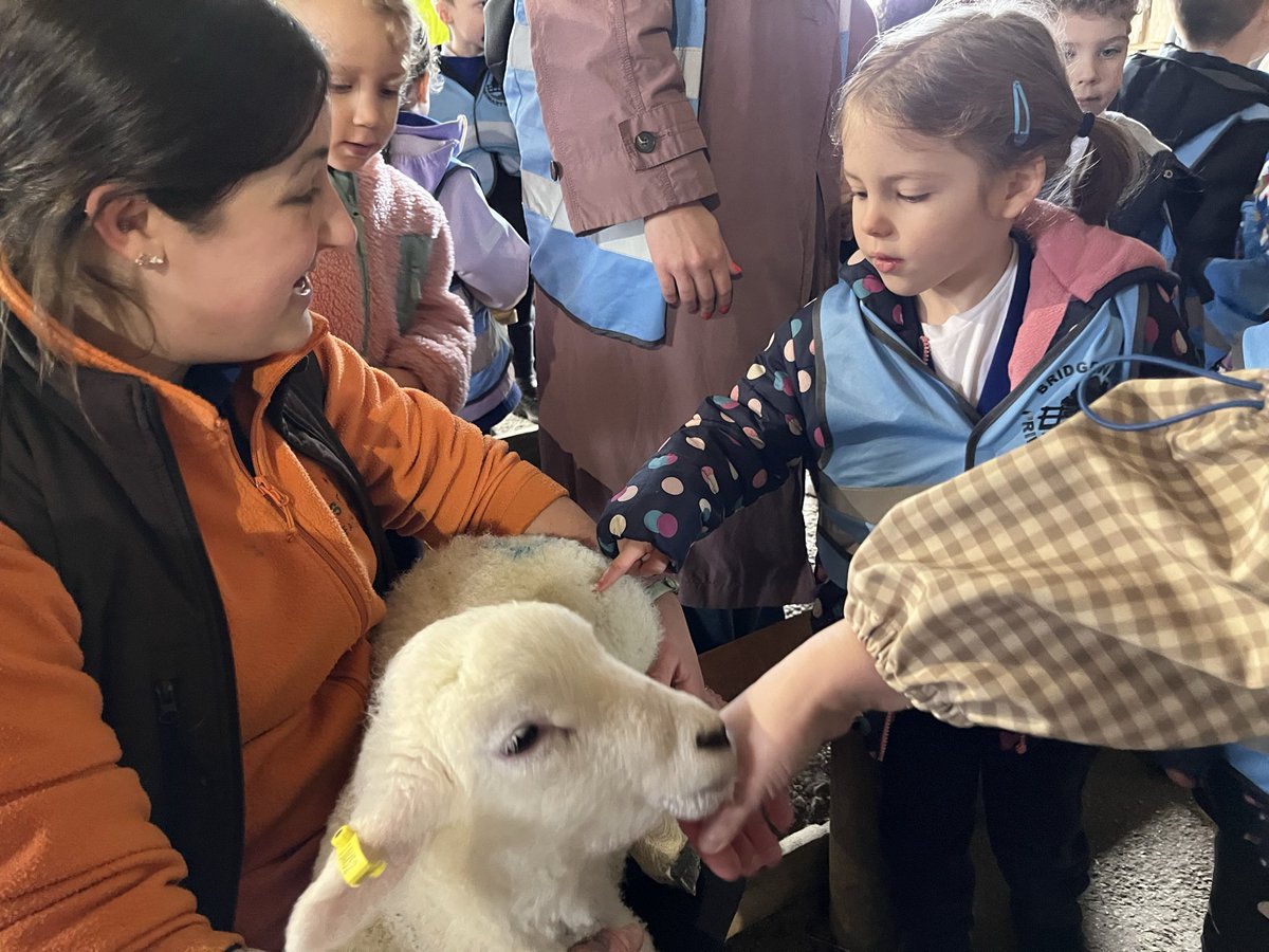 Bridgewater Primary tweet media