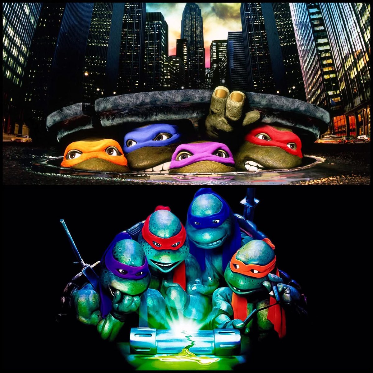 Turtle_Lair tweet media